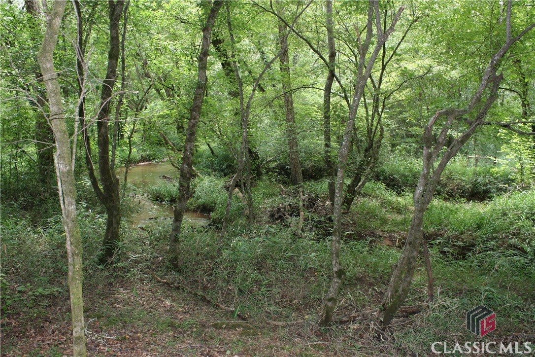 40 Whitetail Lane