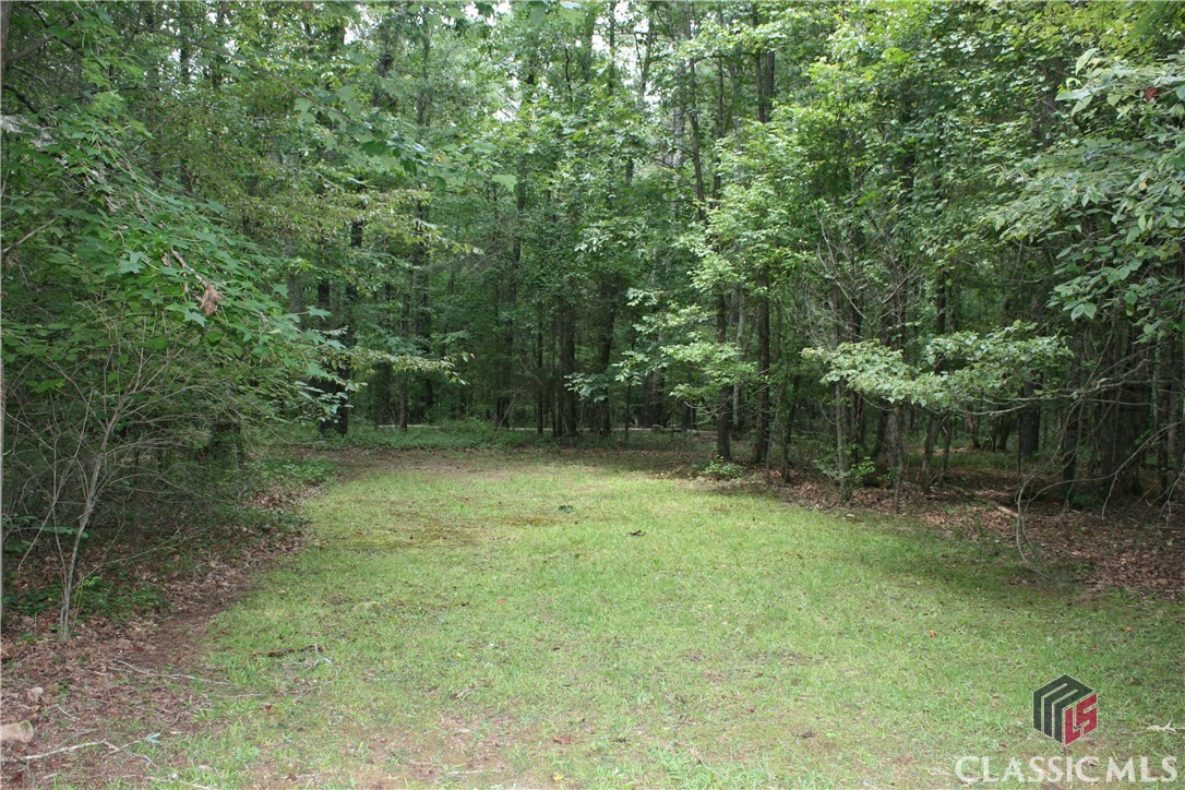 40 Whitetail Lane