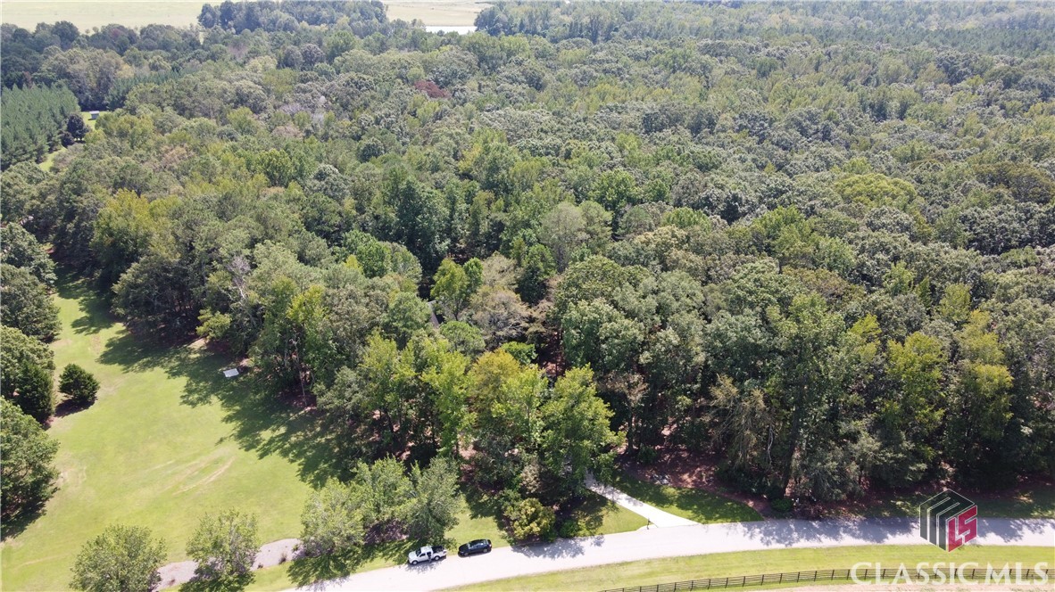 225 Blue Heron Drive