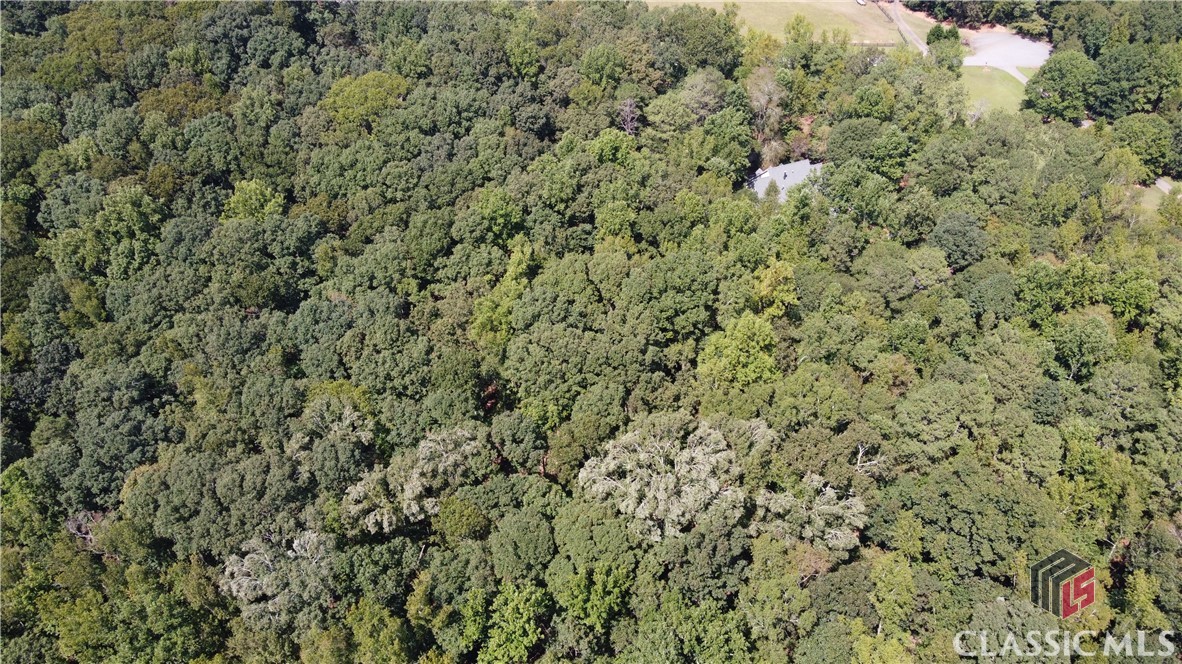 225 Blue Heron Drive