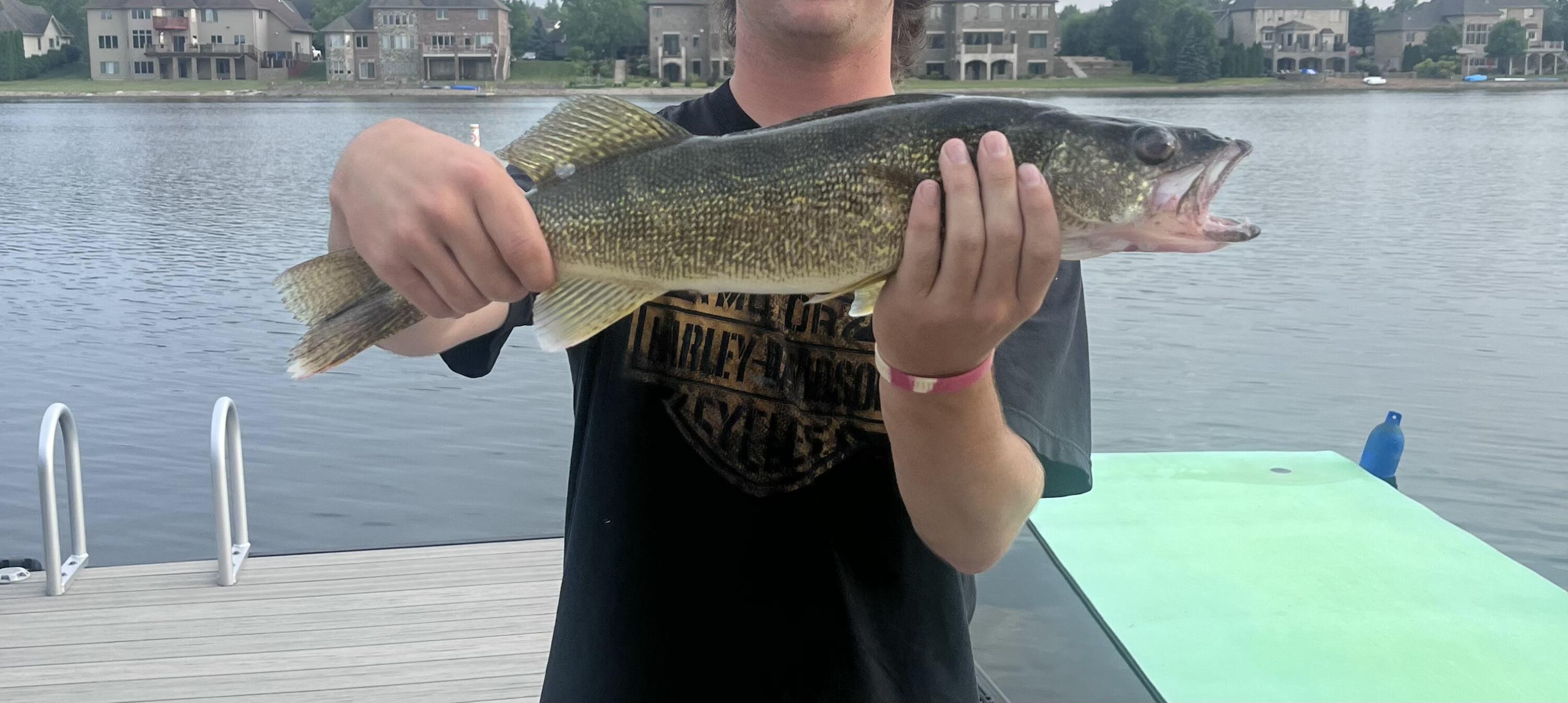 10330 Doubletree Drive S