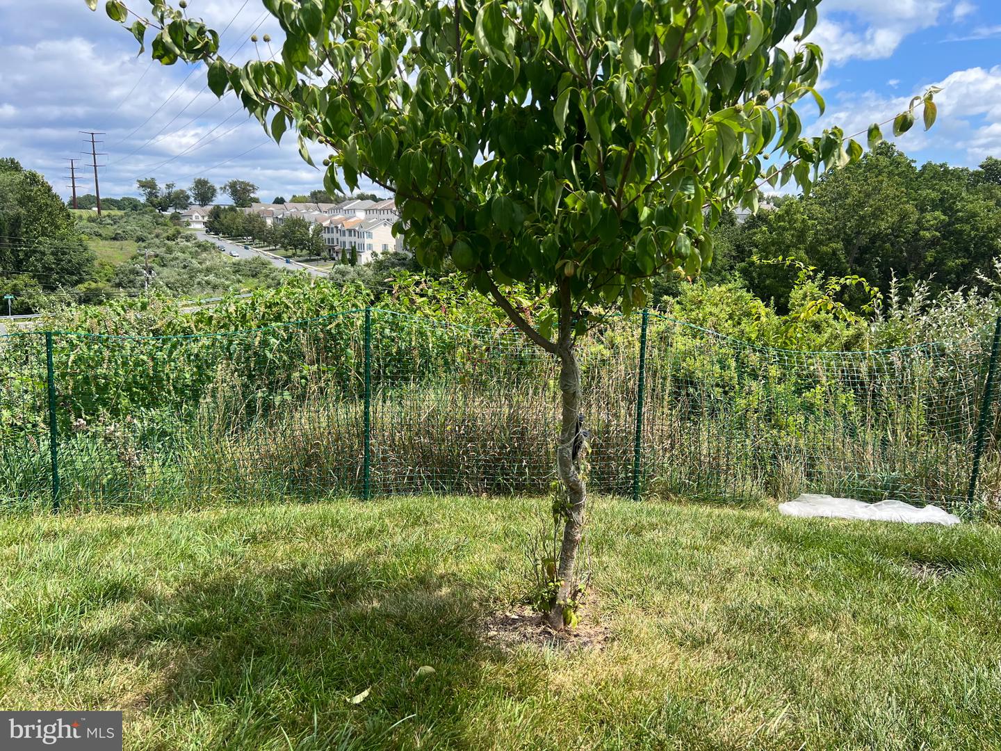 2293 Mill Rd