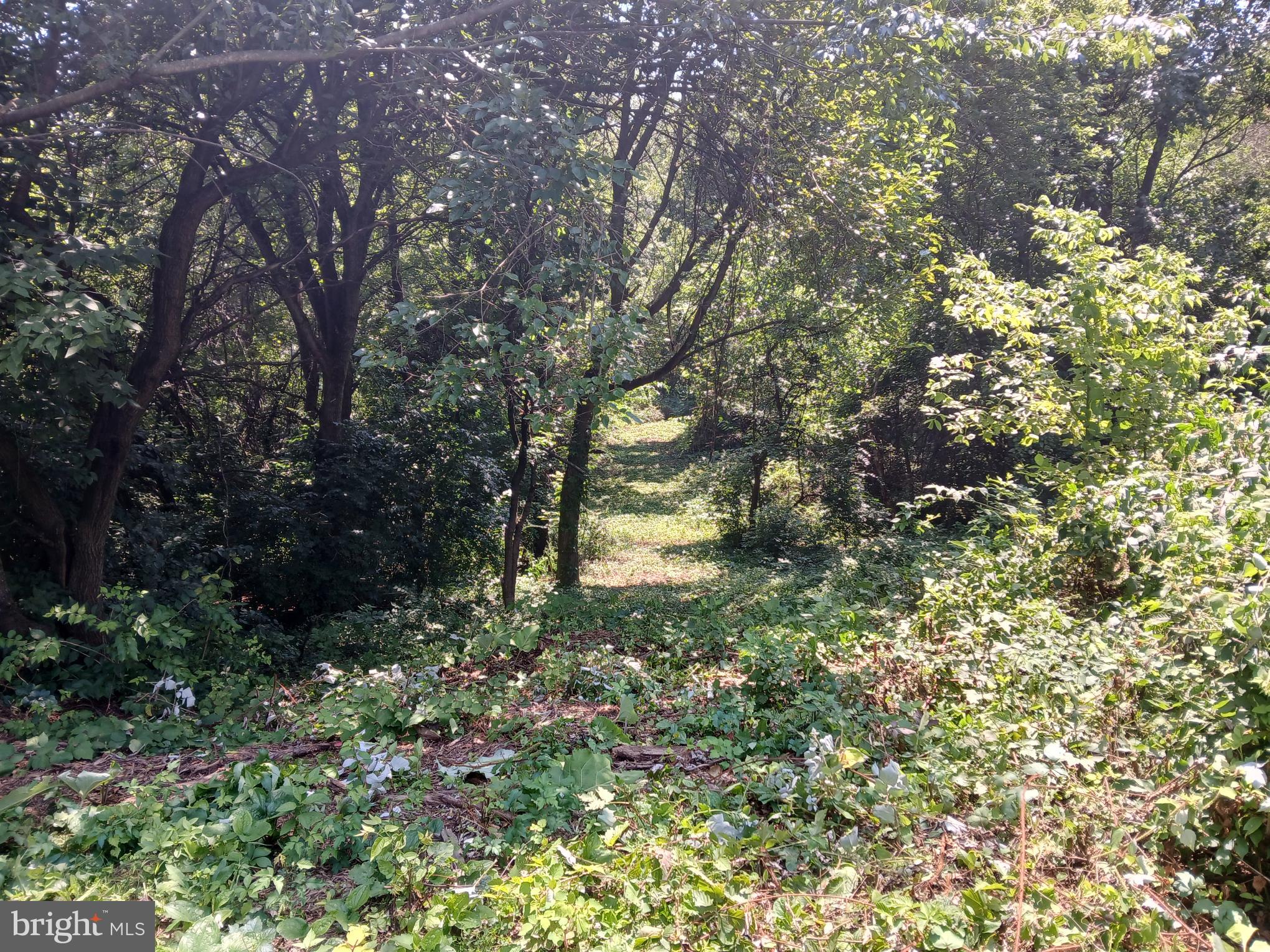 2264 Walnut Bottom Rd