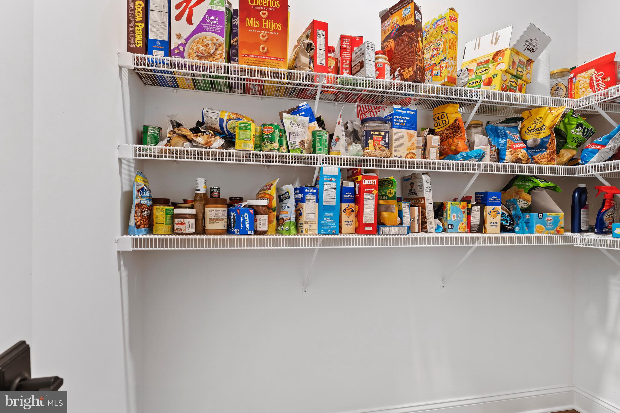 2058 N AUTUMN CHASE DRIVE