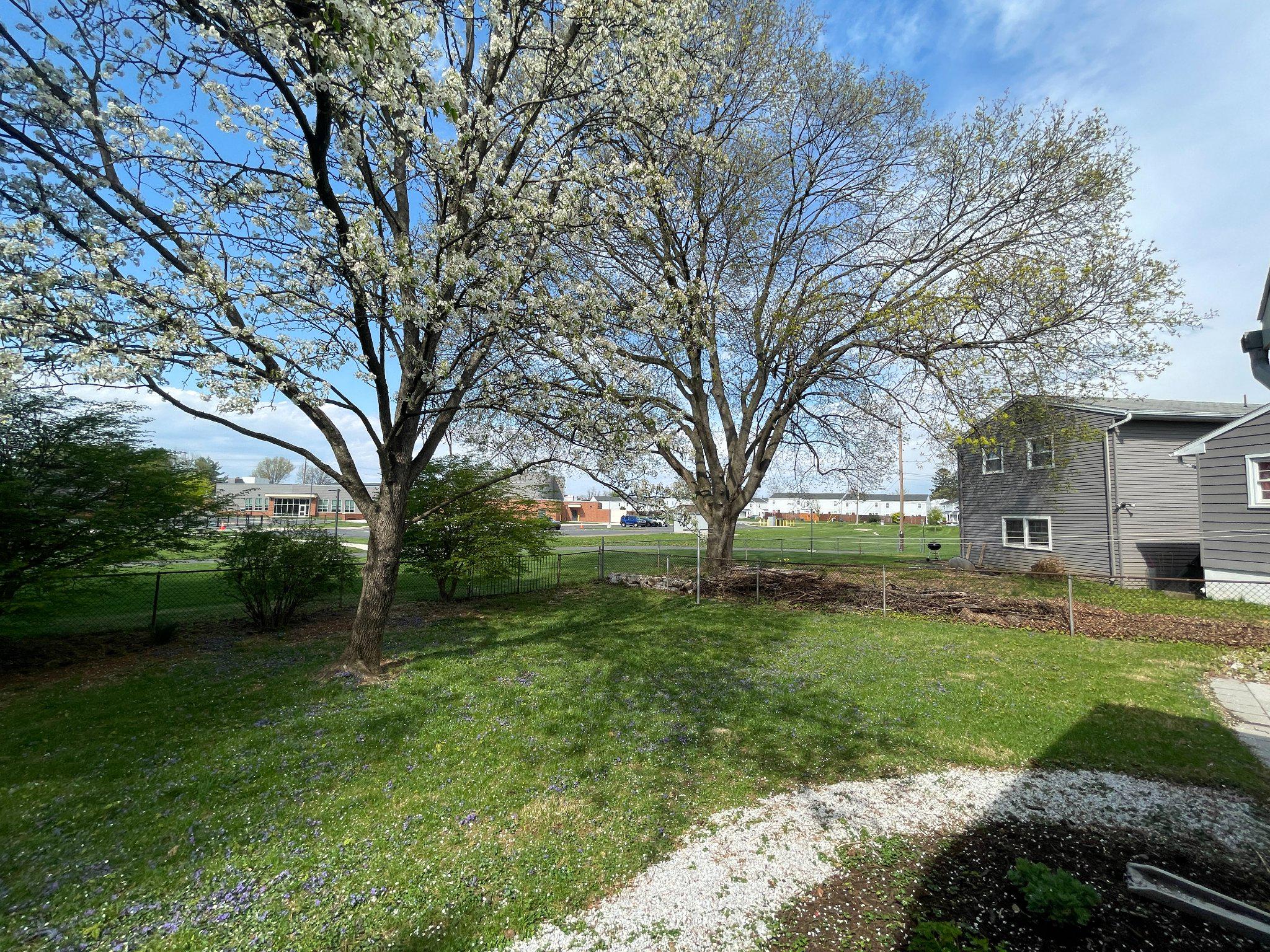 113 E WOODLAND DRIVE