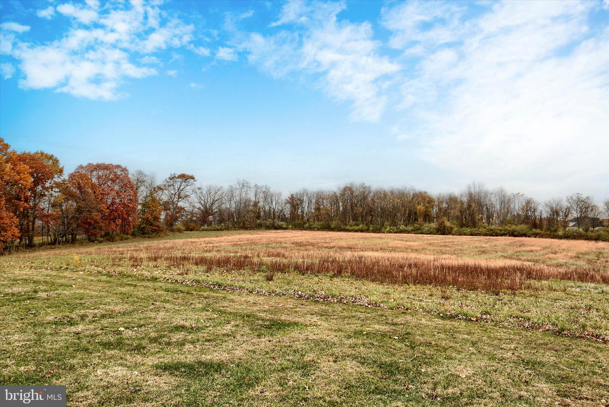 1195 CHERRINGTON LANE