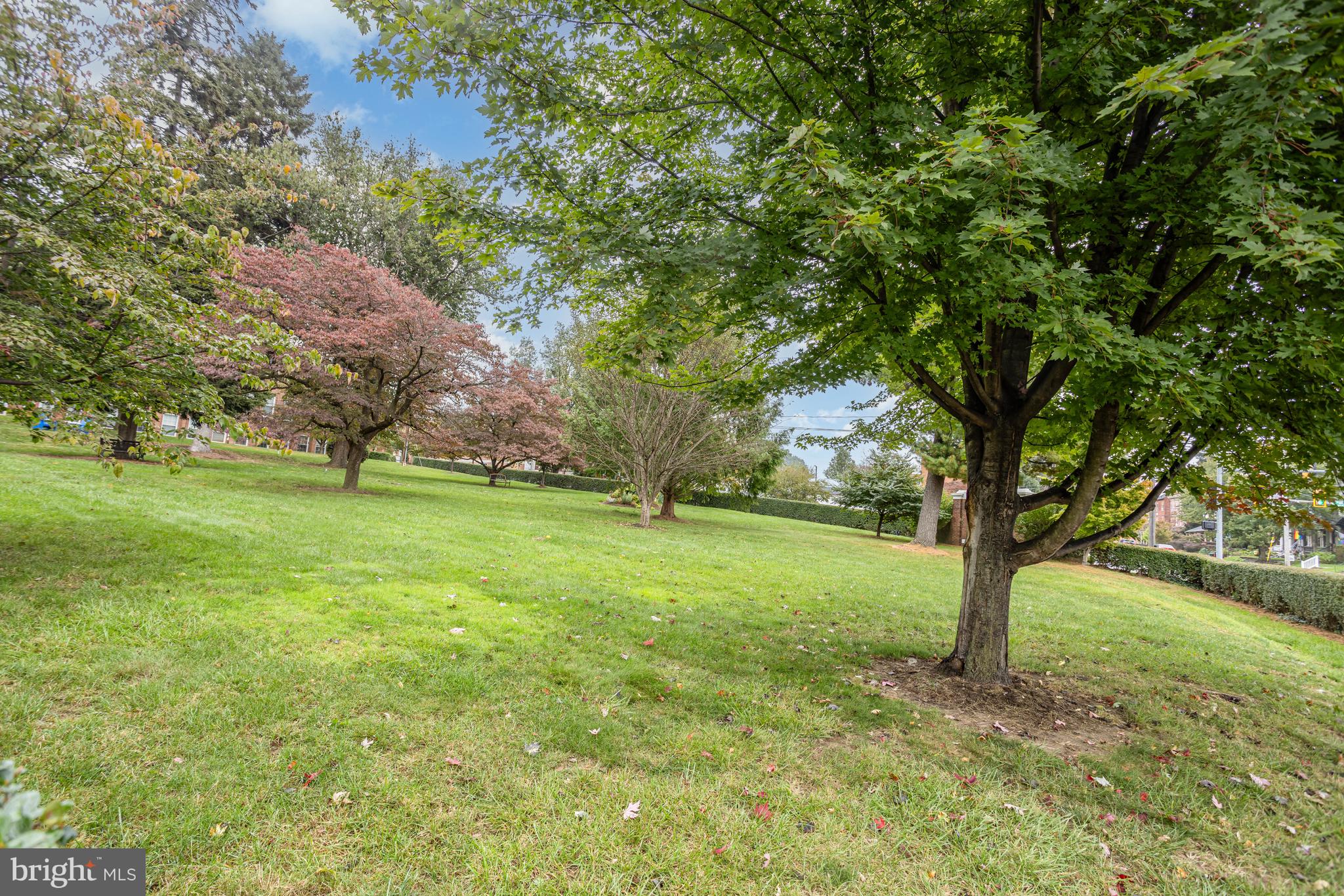 917 COLUMBIA AVENUE 217