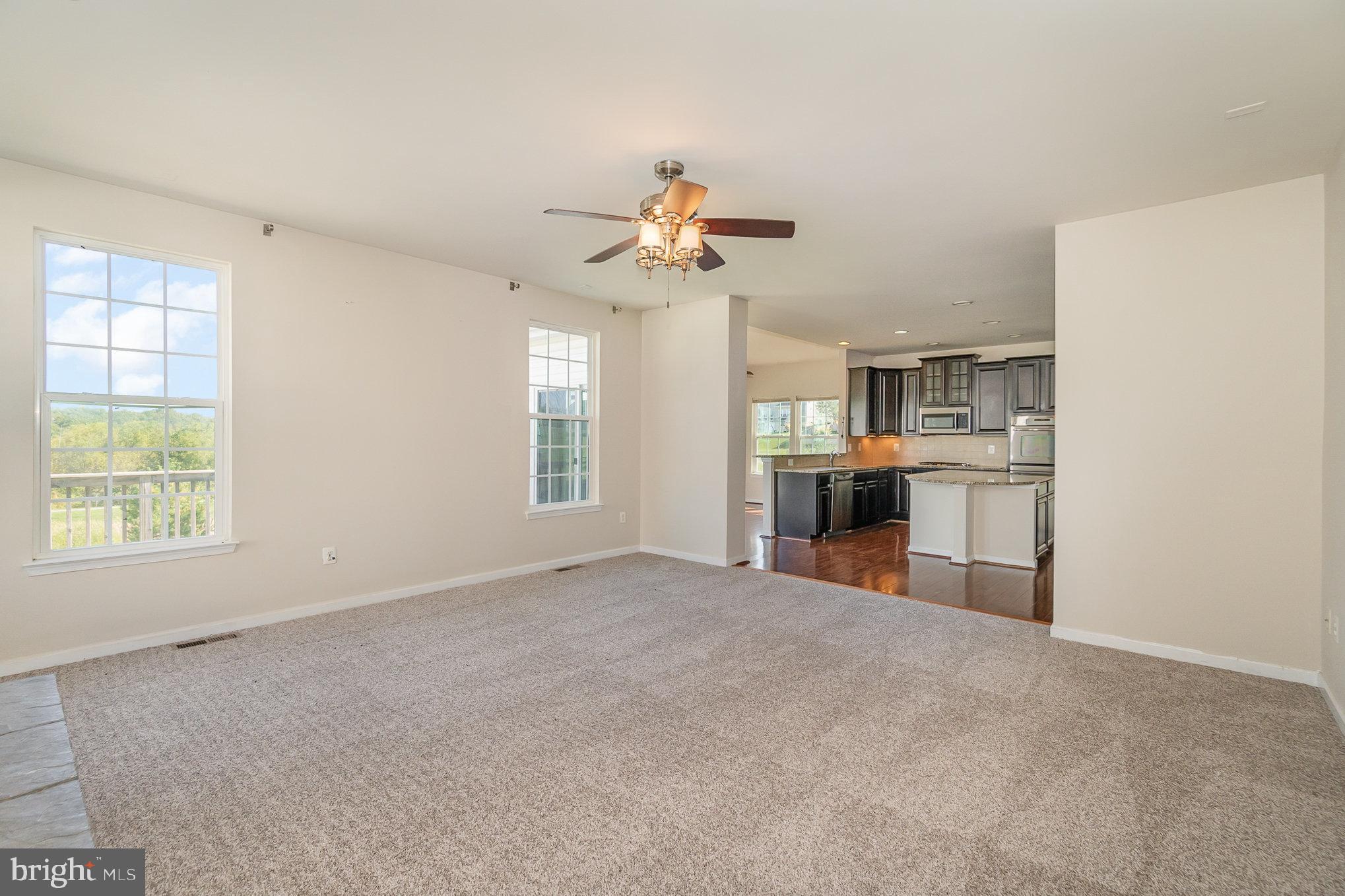 8541 Diamond Run Ct