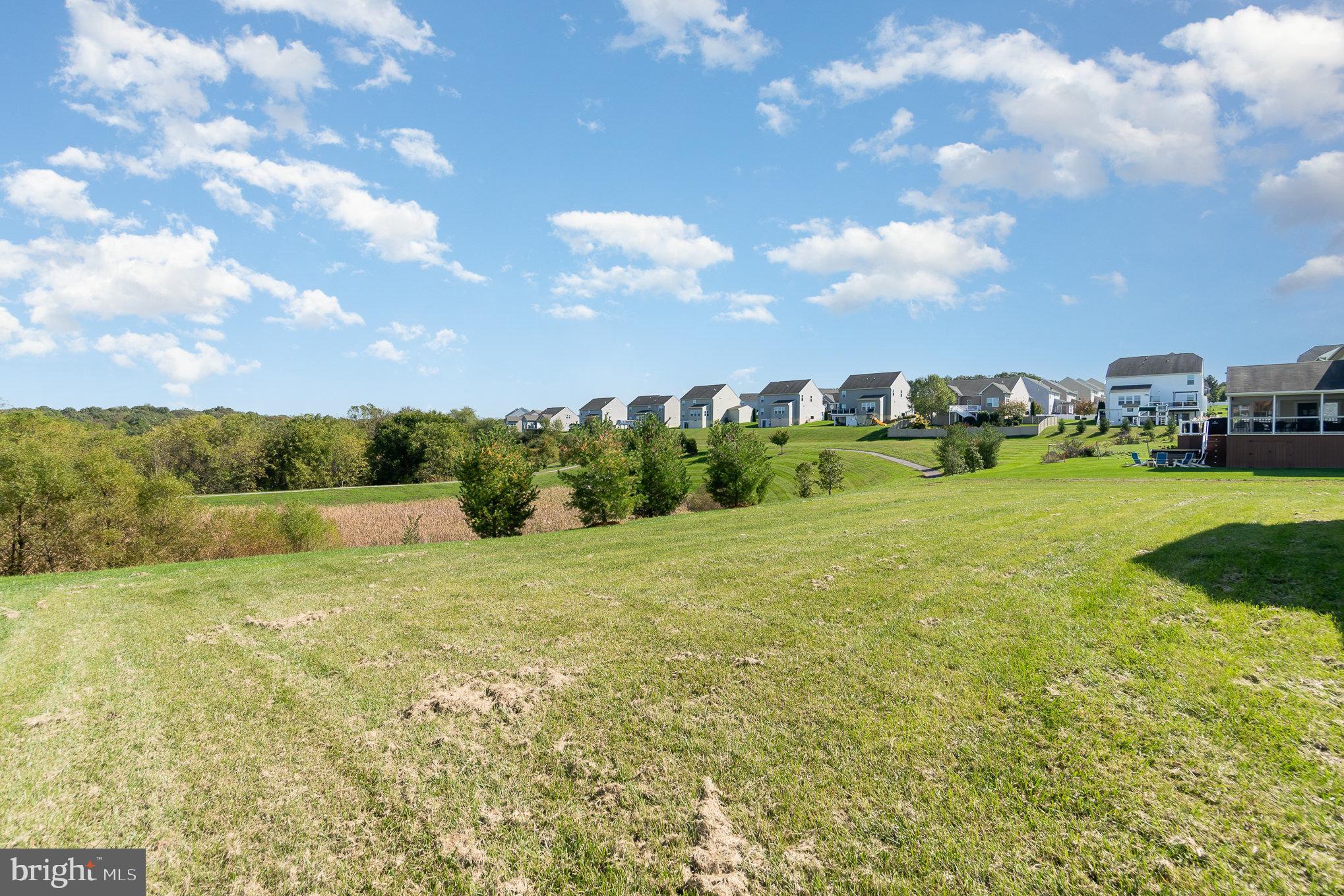 8541 Diamond Run Ct