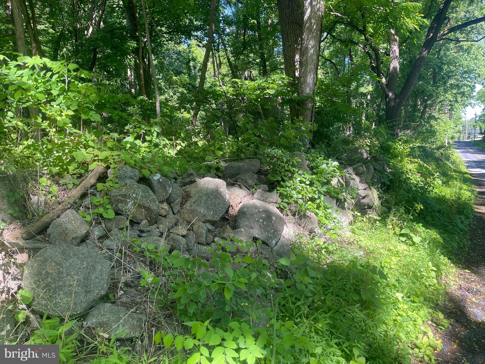 Lot 2 Meadow Trail
