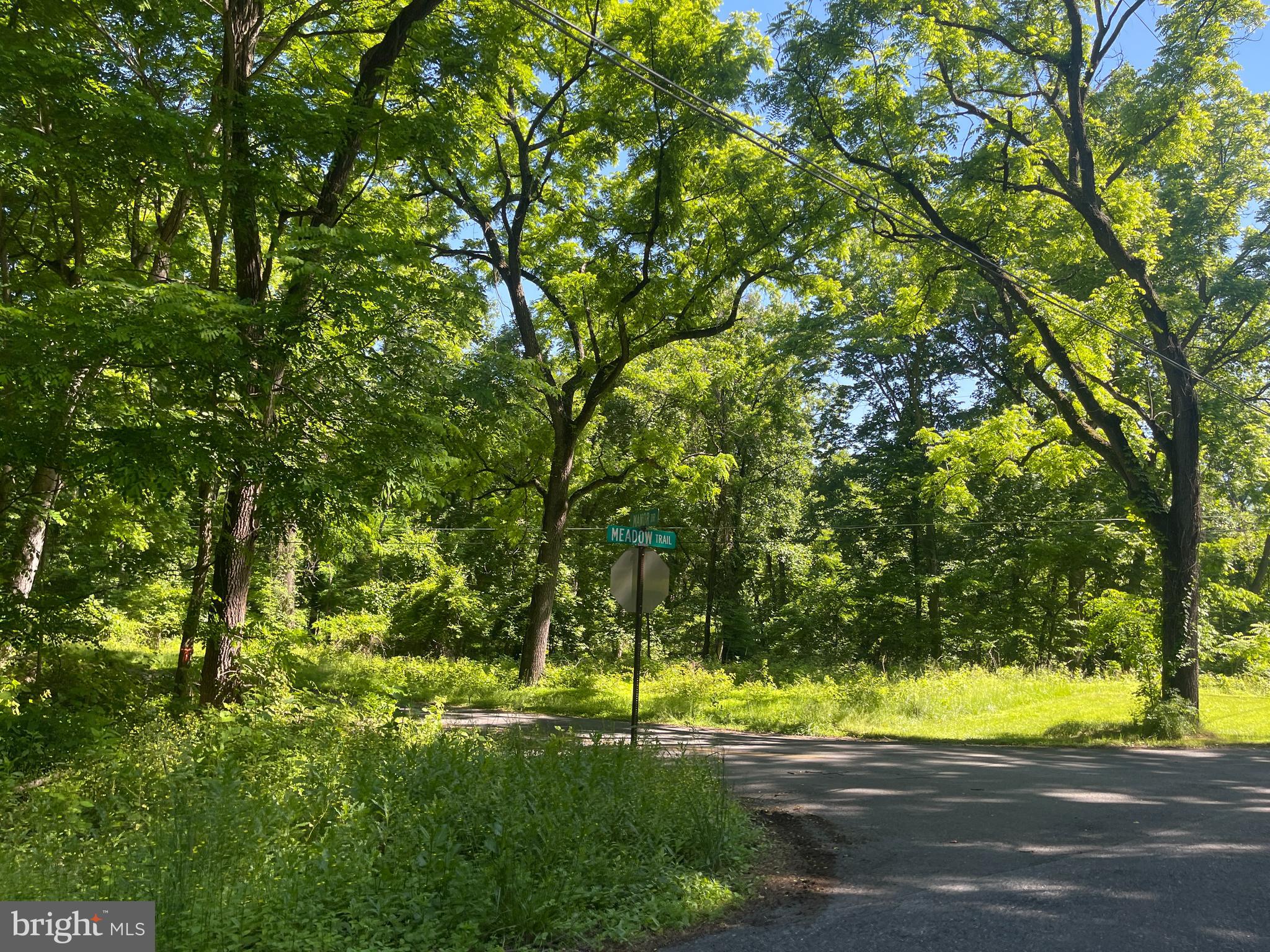 Lot 2 Meadow Trail