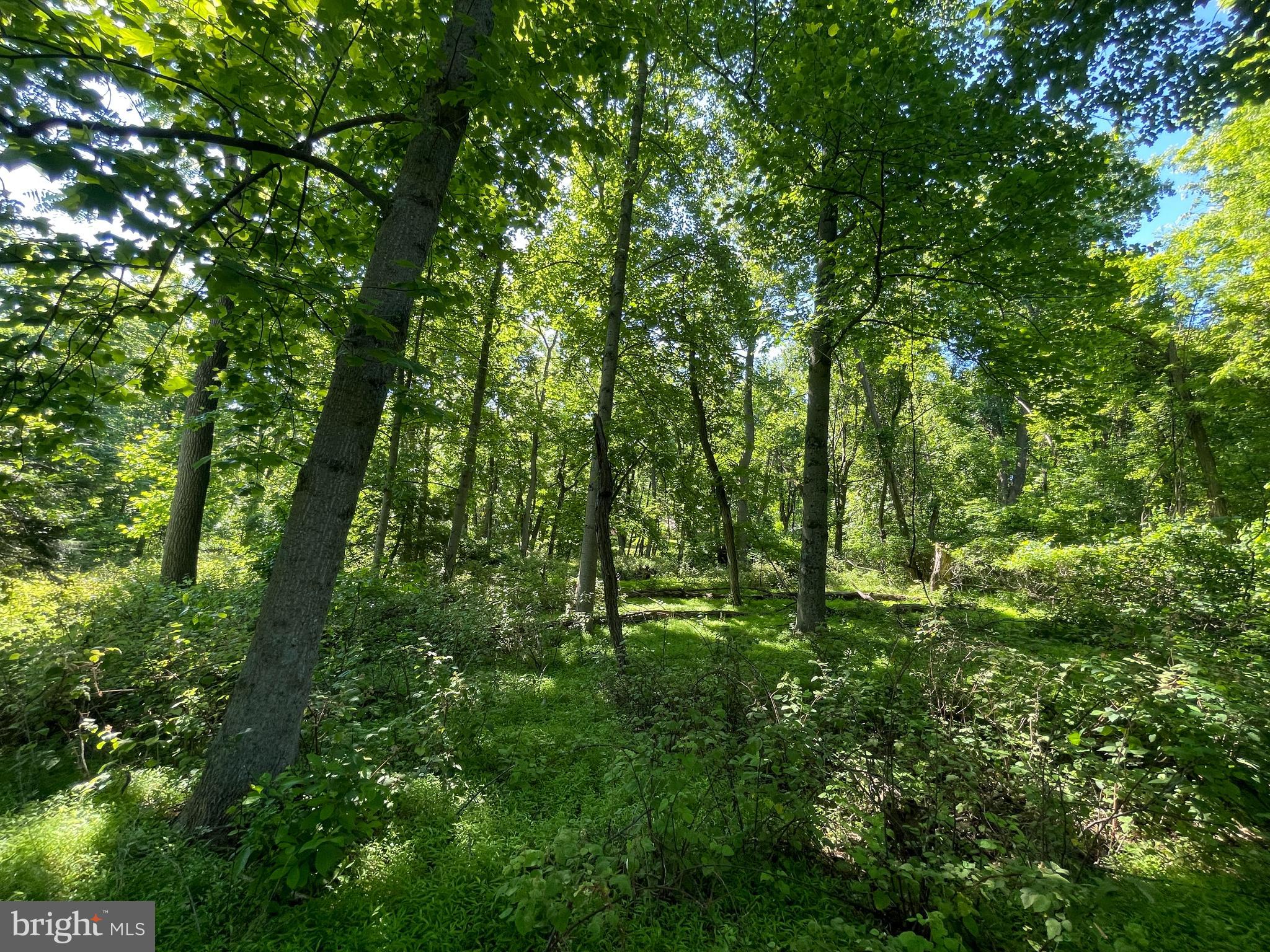 Lot 2 Meadow Trail