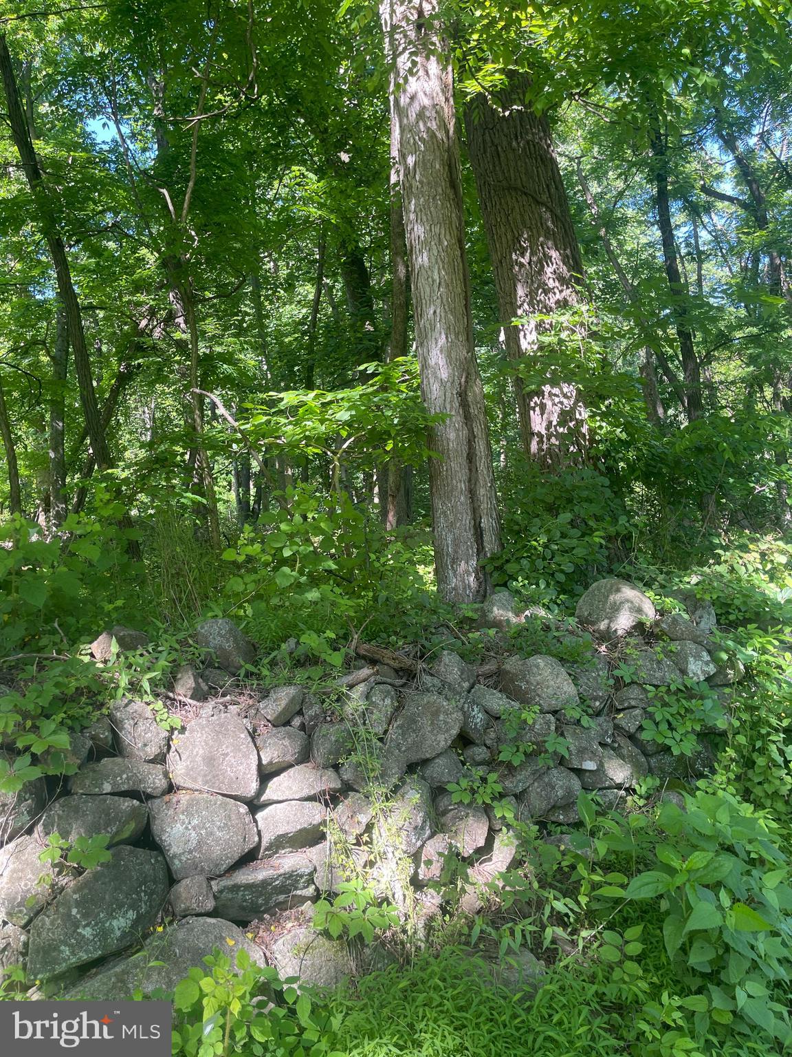 Lot 2 Meadow Trail