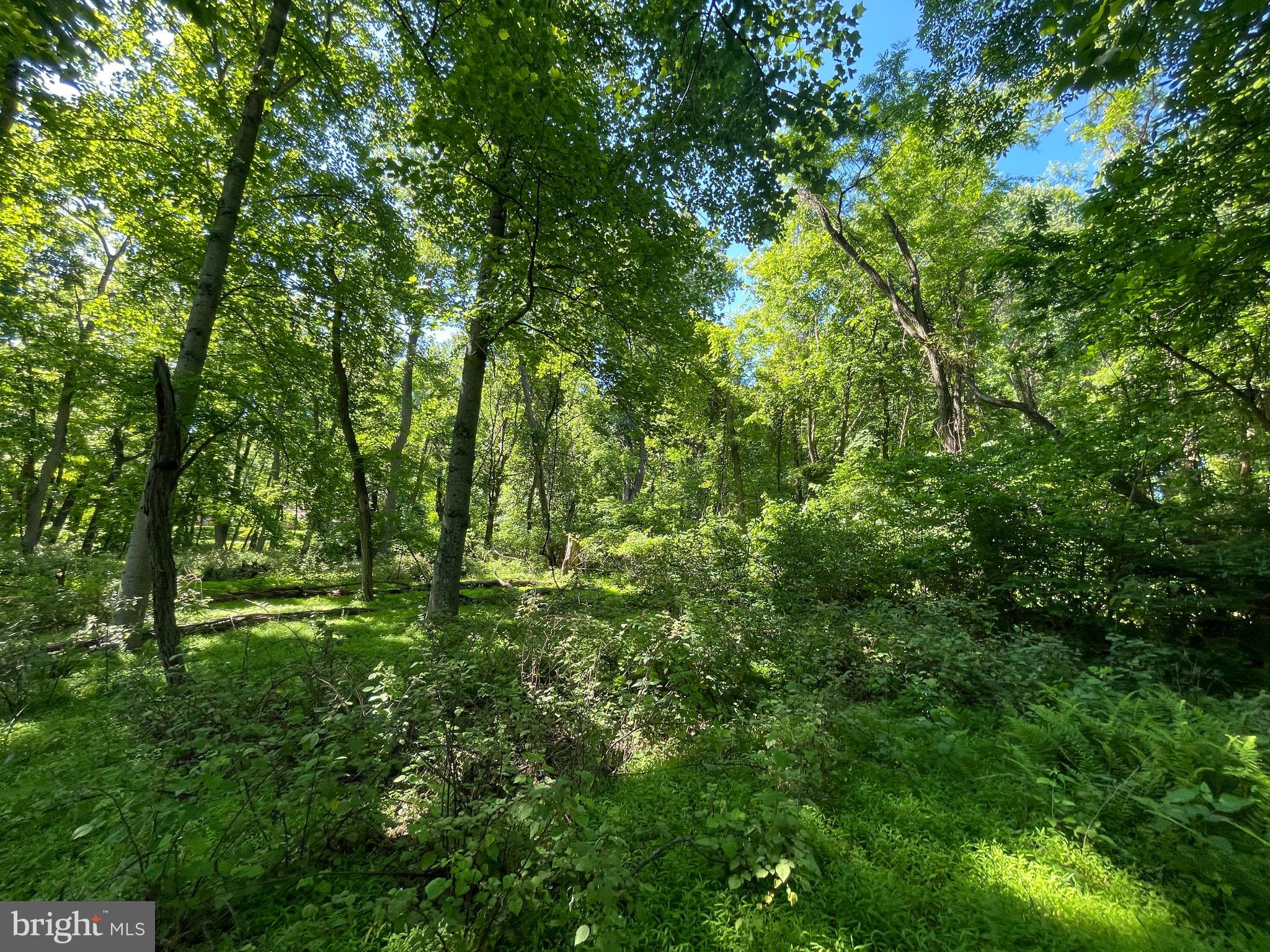 Lot 2 Meadow Trail