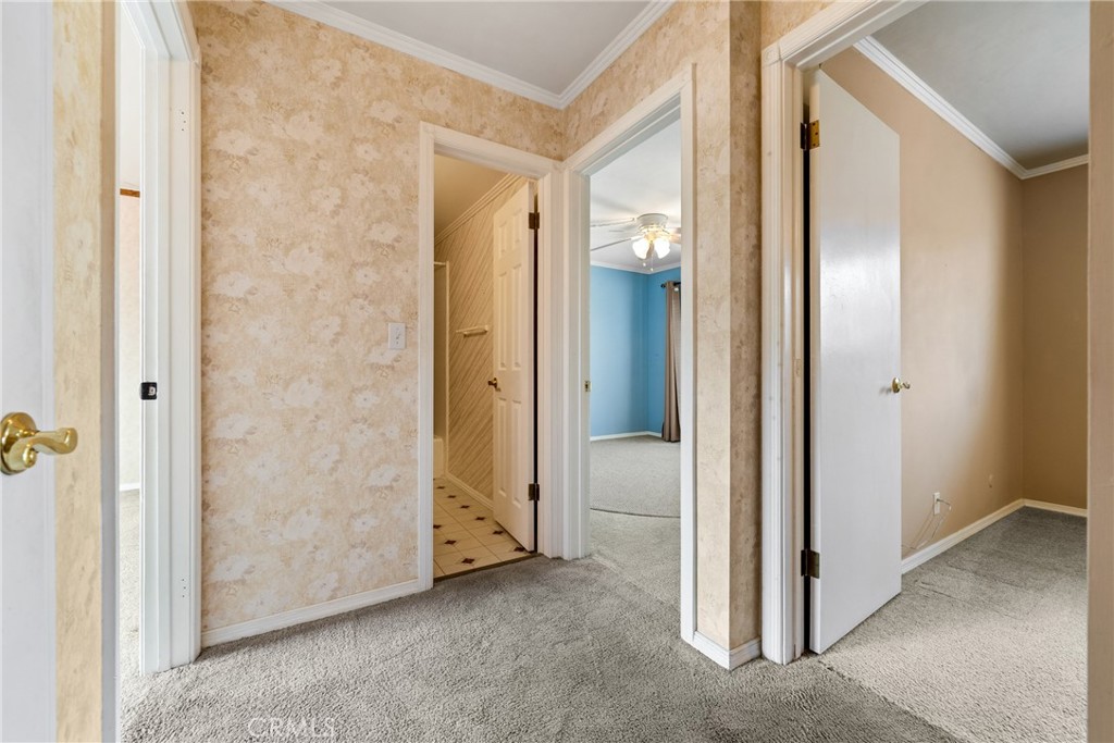 3055 Club House Circle