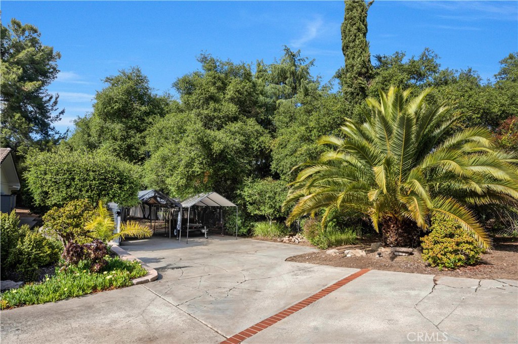 10136 Rancho Roble Road