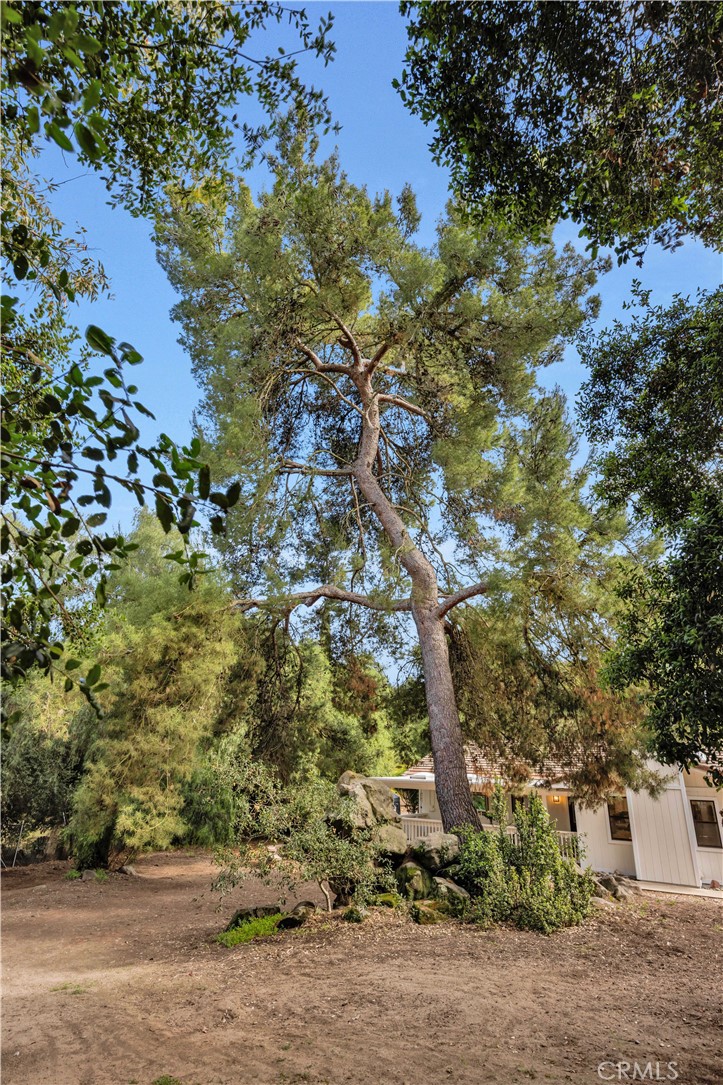 10136 Rancho Roble Road
