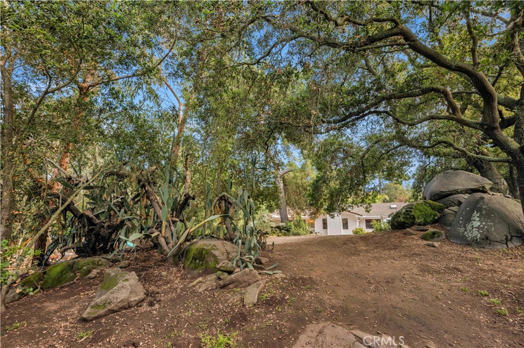 10136 Rancho Roble Road