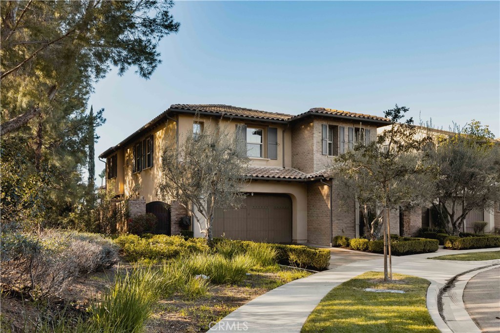 33 Jasper