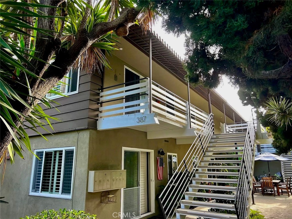387 Cypress