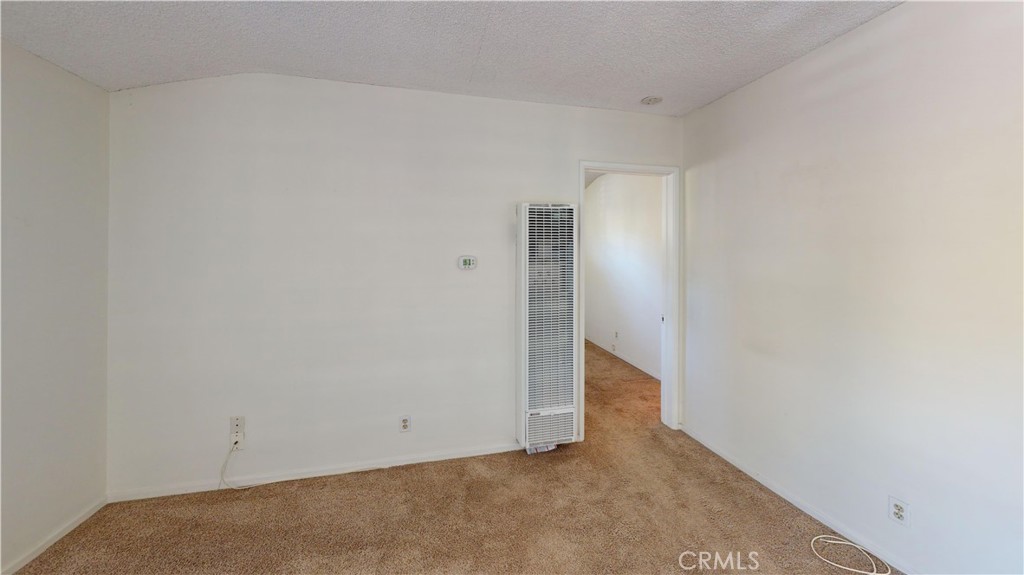387 Cypress