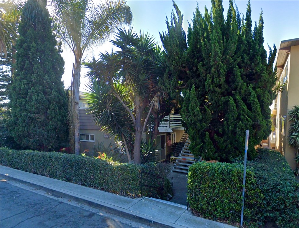 387 Cypress