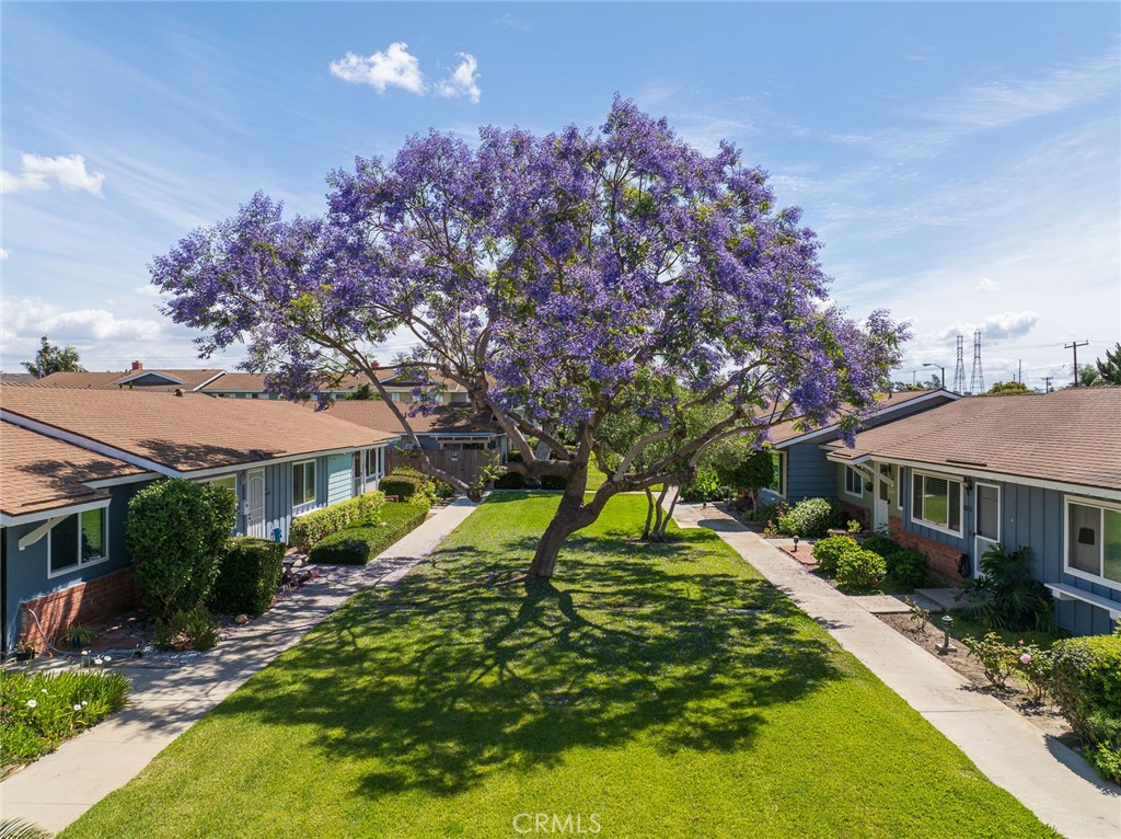 19868 Piccadilly Lane