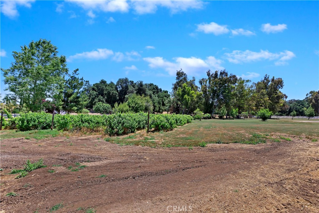 17370 Rodeo Road