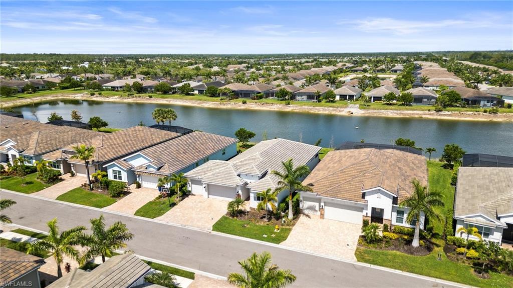 28041 Captiva Shell LOOP