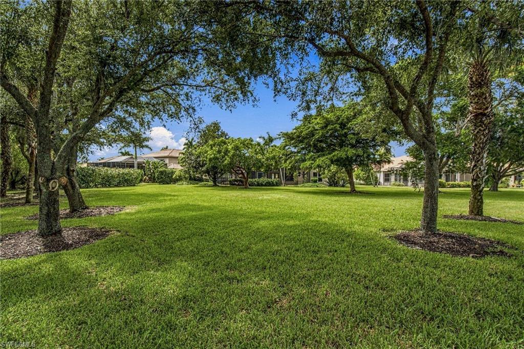 Grassy backyard framed by mature trees, with the home visible in the background.