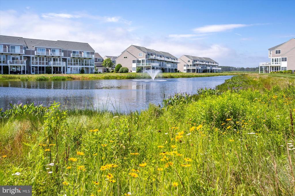 38277 OCEAN VISTA DRIVE Unit: 1180