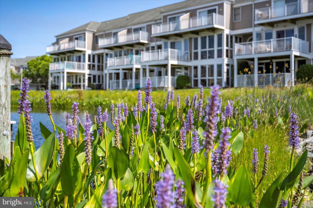 38277 OCEAN VISTA DRIVE Unit: 1180