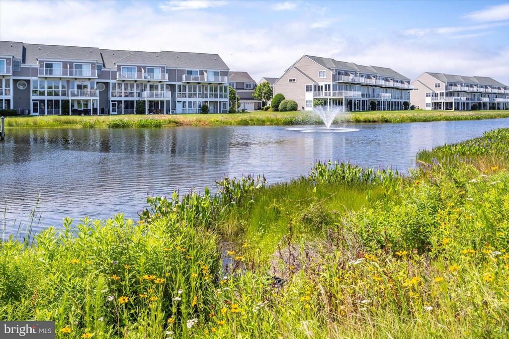38277 OCEAN VISTA DRIVE Unit: 1180