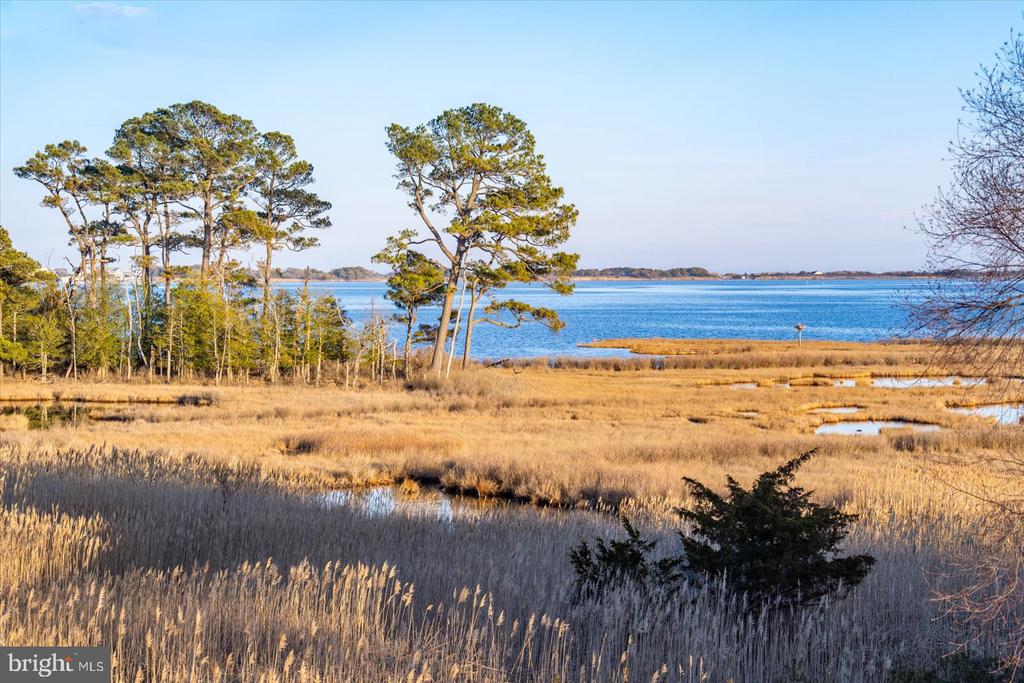 38312 OCEAN VISTA DRIVE Unit: 1082