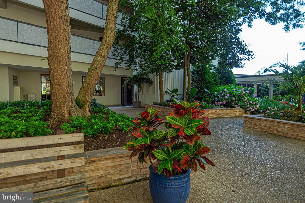 11500 COASTAL HIGHWAY Unit: 411