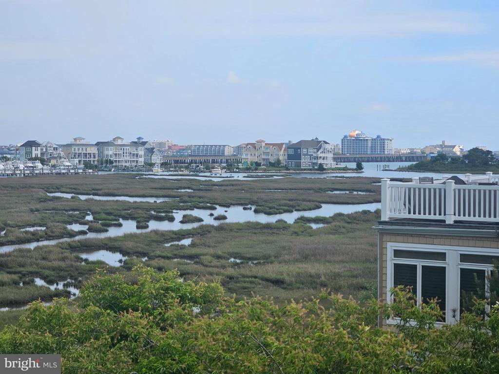 12901 OLD BRIDGE ROAD Unit: 1