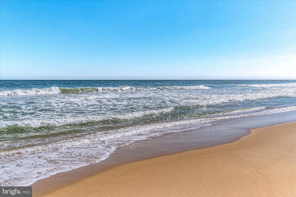1801 ATLANTIC AVENUE Unit: 402