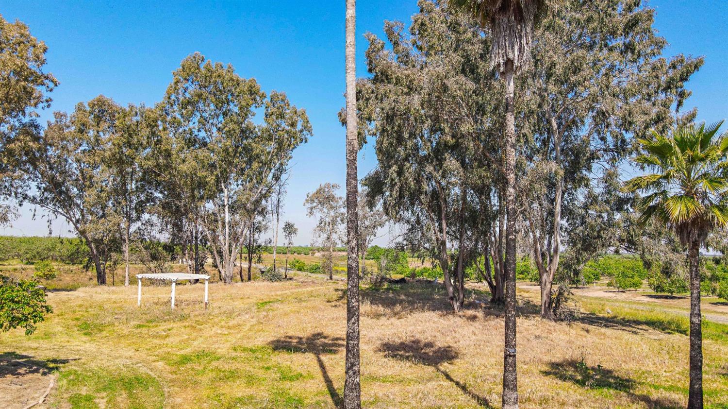 17175 Buchanan Hollow Road