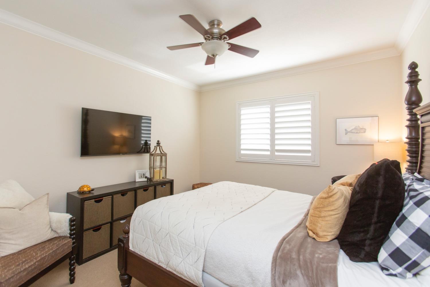 4301 Big Tree Court