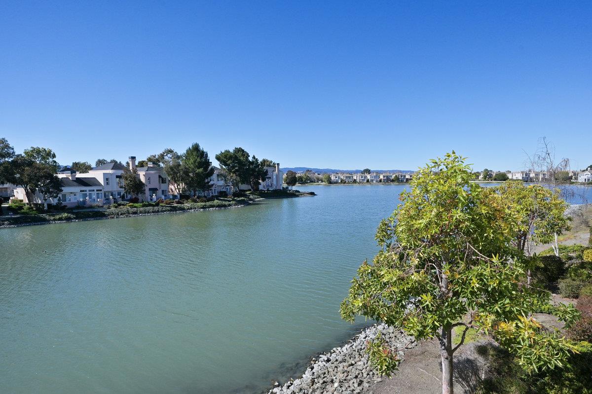 Residential waterfront with homes across a lake and a leafy tree in the foreground.