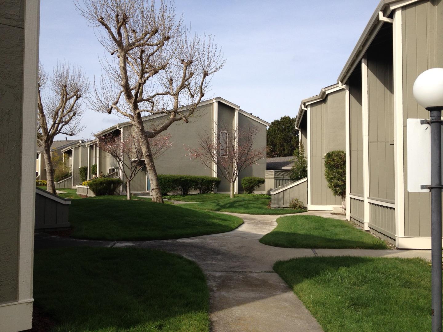802 Juno LN