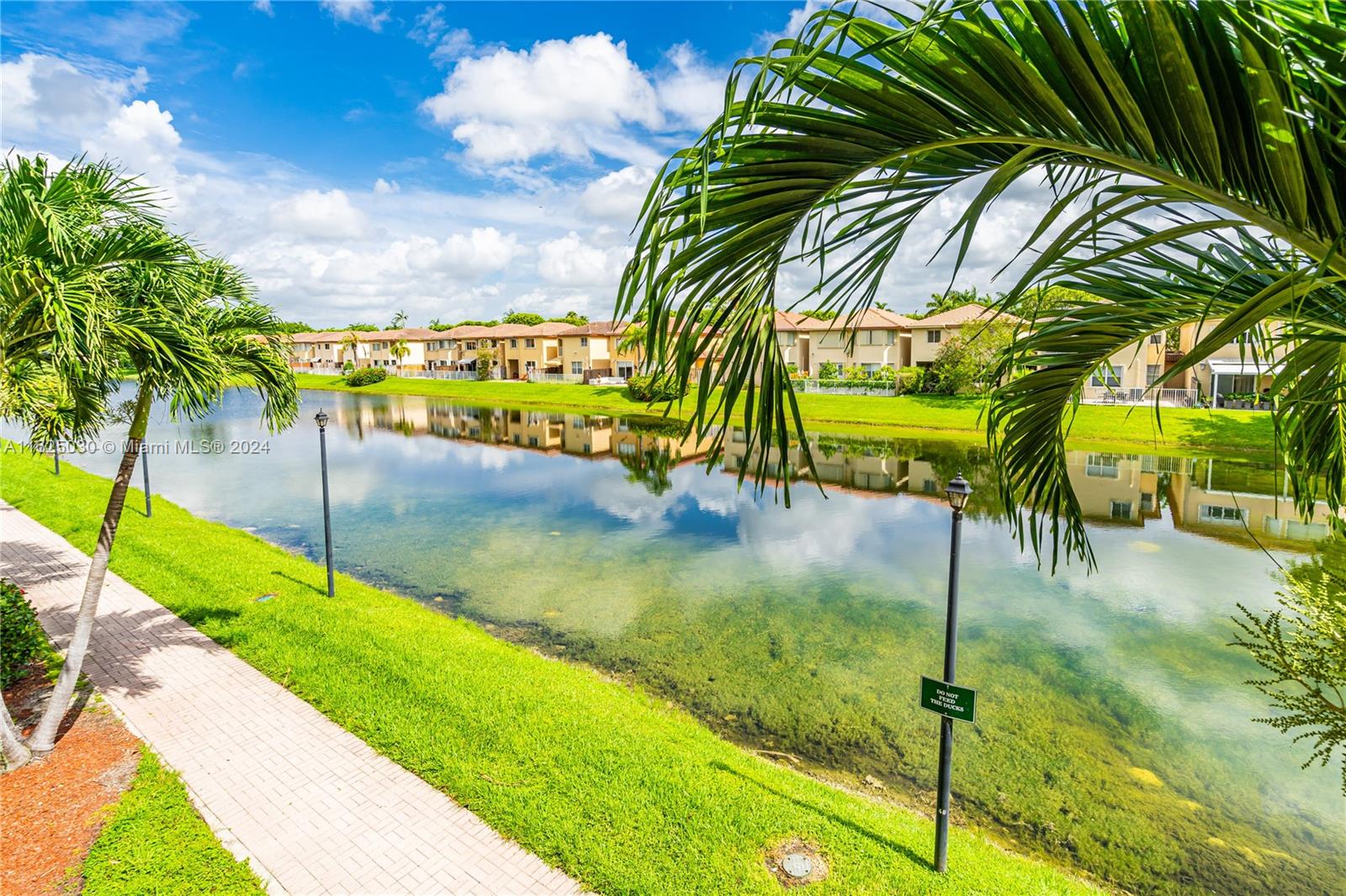 Townhomes reflected in a community lake, framed by palm fronds and a paved walking path.