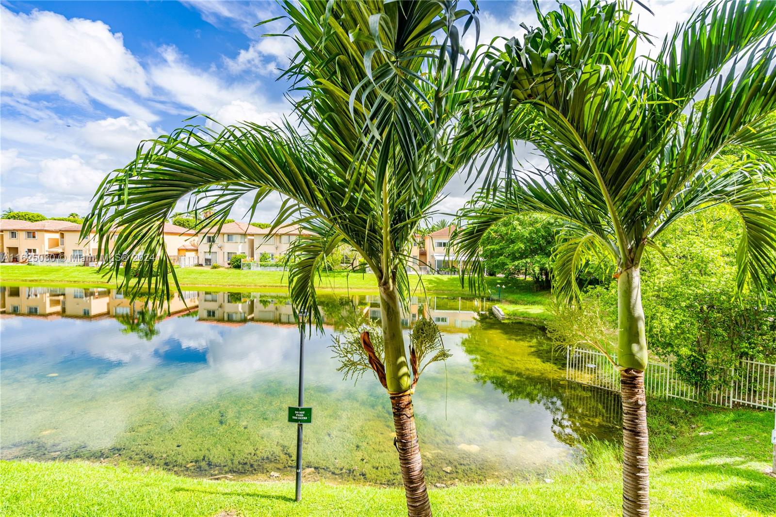 Pond and neighboring homes reflected in the water, framed by tall palms.