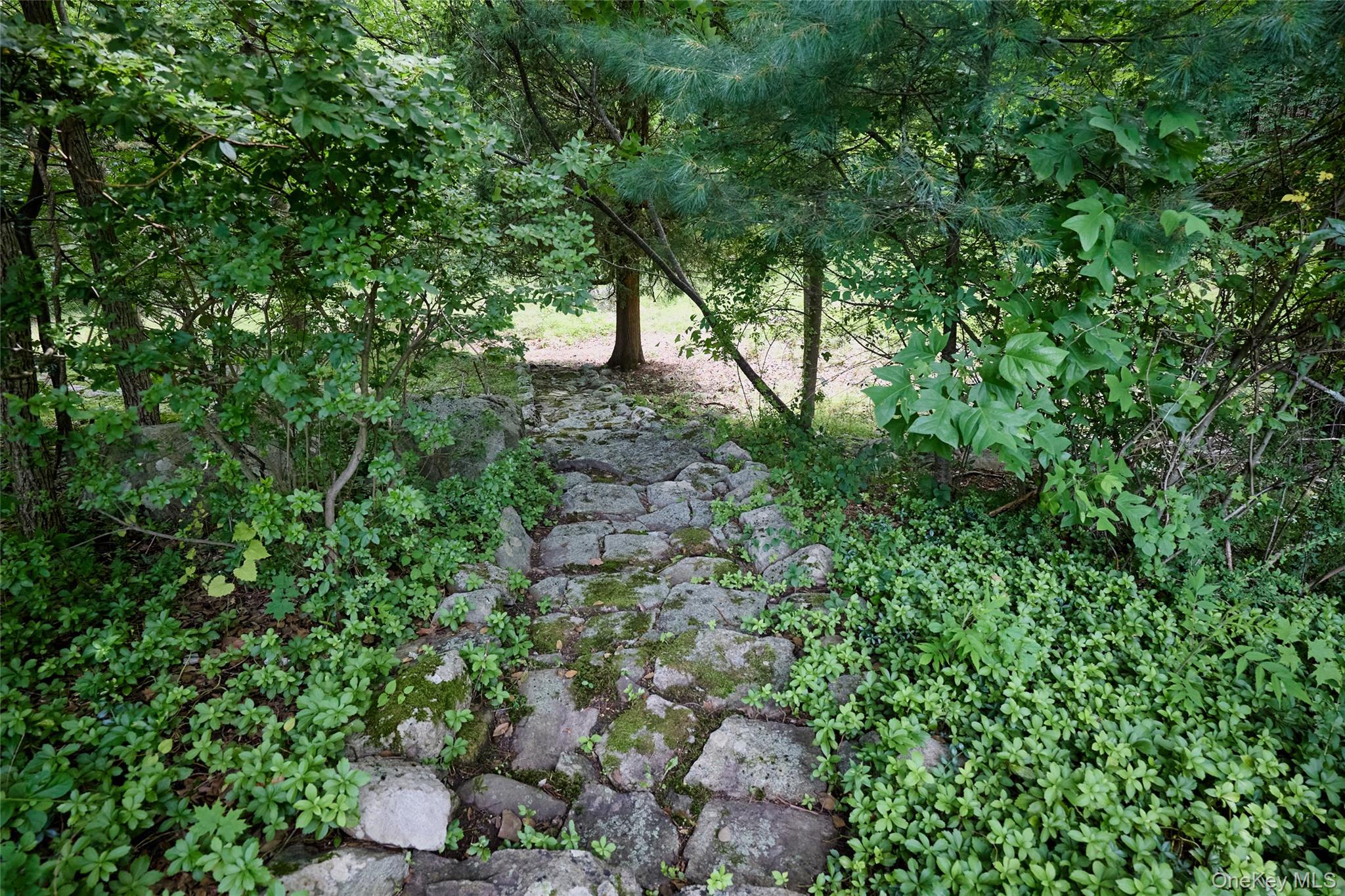 55 Mountain Farm Road