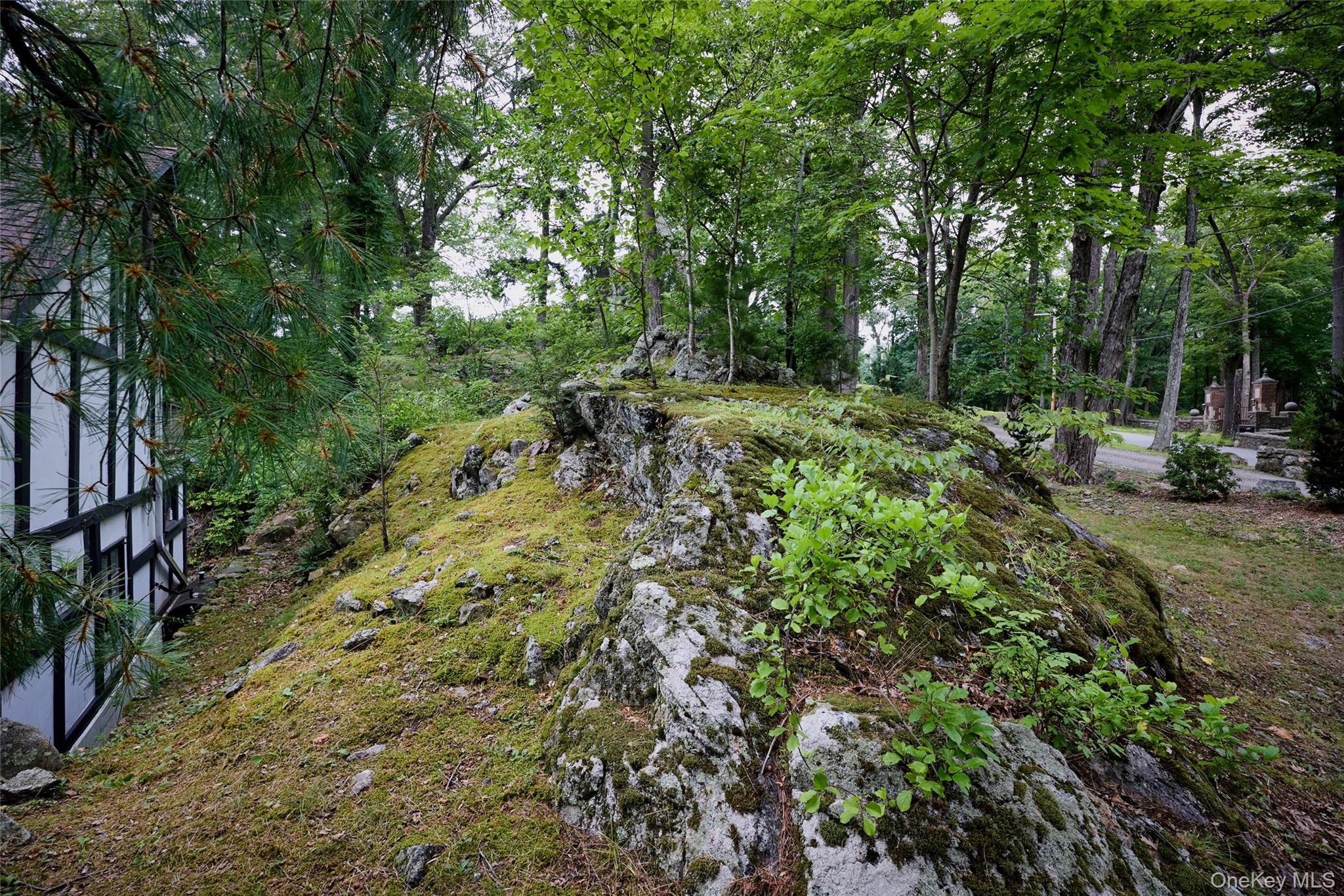 93 Circuit Road