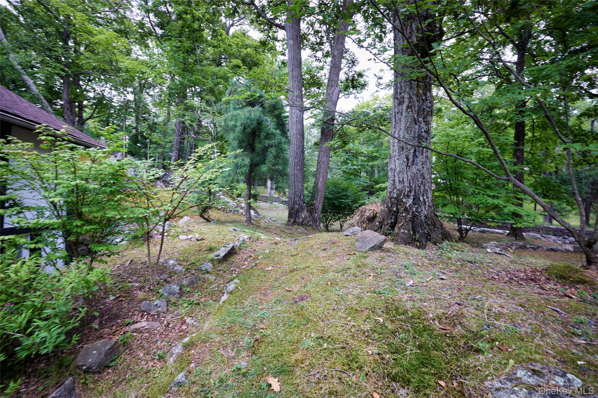 93 Circuit Road