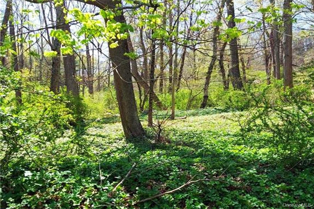 Pine Road & Pepperidge Road