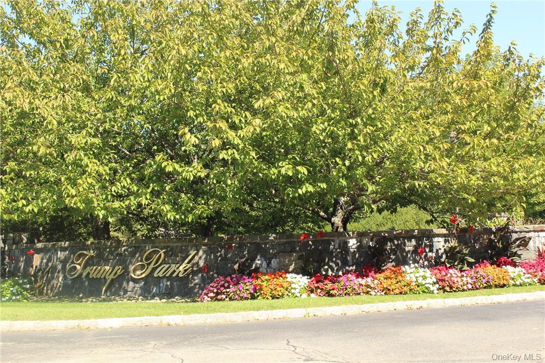 405 Trump Park