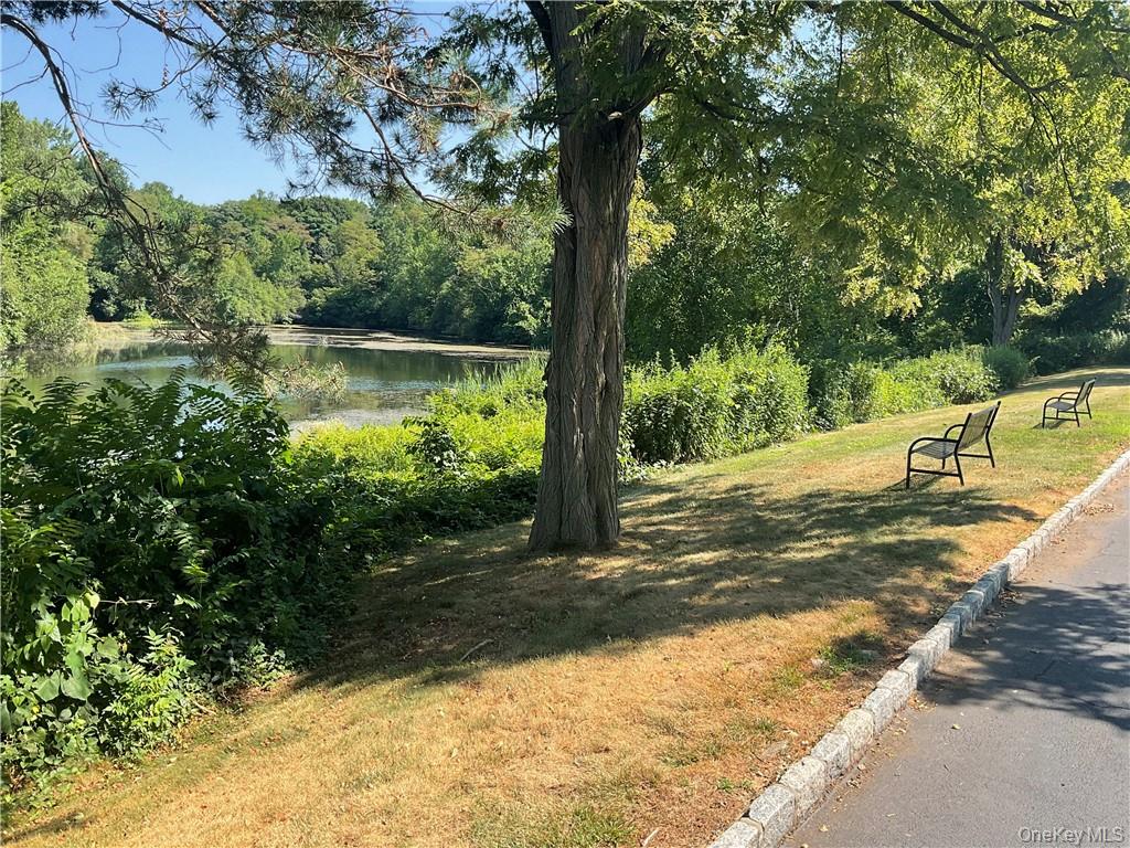 405 Trump Park