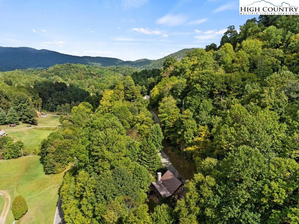 596 Joe Shoemaker Road